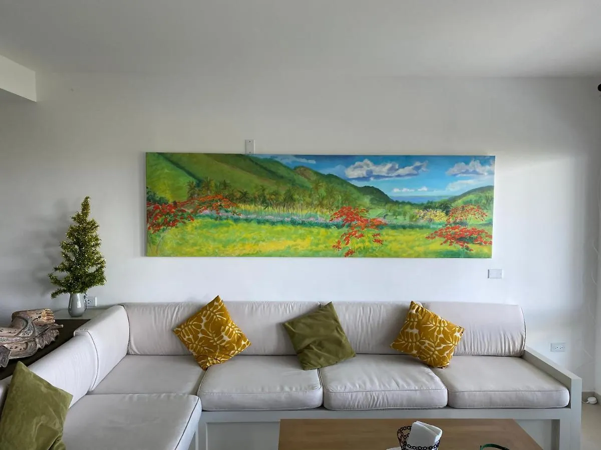 Stunning 2 Brm Designer View Condo In Maho location